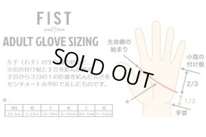 画像5: Fist "Lyon Herron Lost Time" Glove [S,M, L / Black]