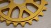 画像3: Fiend "Omicron" Sprocket [25T/Bolt/Matte Gold] (3)