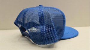 画像4: Fairdale "Debra Zebra " Mesh Cap [ RoyalBlue /Snapback]