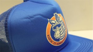 画像3: Fairdale "Debra Zebra " Mesh Cap [ RoyalBlue /Snapback]