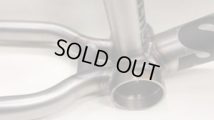 画像3: Sunday " Park Ranger " Frame [TT 20.5 / CS 12.7~13.2 / MatteRaw]