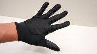 Lizard "Monitor Ignite Jet" Glove [M,L]