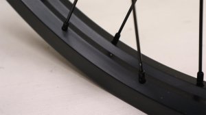 画像4: [RHD/ Cassette] Primo "Balance × VS" RearWheel [Male/ Black]