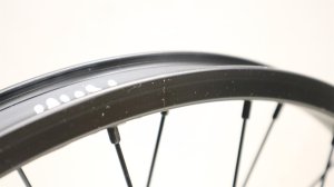 画像5: [Front] Rant "Party ON V2" Wheel [Female/ Black]