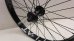 画像2: [Front] Eclat "Cortex × Trippin" Wheel [Female / Black] (2)