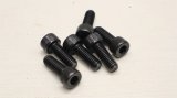 Alive Industry StemBolts [6pc]