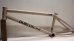 画像9: DurcusOne "Raw V2" Frame [TT20.7 / CS 12.9~13.38 /Matt Desert Tan]