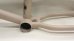 画像5: DurcusOne "Raw V2" Frame [TT20.3 / CS 12.9~13.38 /Matt Desert Tan]