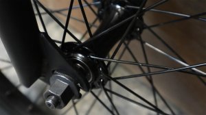 画像9: DurcusOne "Raw V2" [20.3 / Matt Raw]