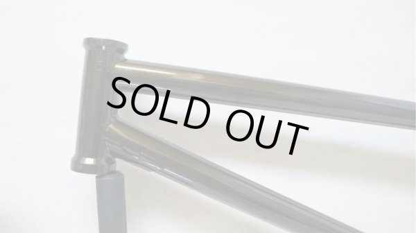 画像1: Fiend"Varanyak V2"Frame [ TT20.25/ CS12.7 /GlossGold Dusted] (1)