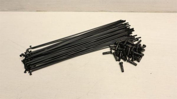 画像1: Eclat "Plain Gauge" Spoke [40pc/ Black] (1)