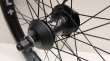 画像2: Primo"Balance × VS XL"RearWheel [LHD/FreeCoaster/9T/Male] (2)