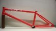 画像4: [軽量] Kink "Crosscut" Frame [TT20.5 / CS 12.5 /Gloss Coral] (4)